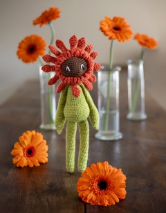 Gerbera