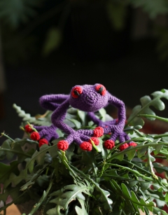 Gretchen the Tree Frog Kit
