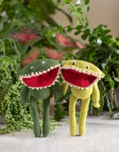 Venus Fly Trap