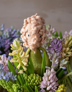 Hyacinth