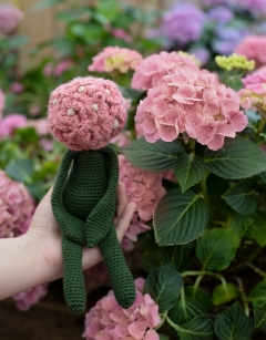 Hydrangea