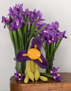 Iris