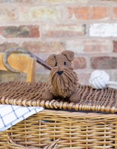 Connor the Irish Terrier
