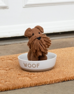 Connor the Irish Terrier