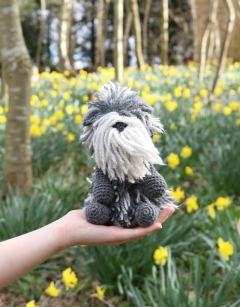 Joyce the Irish Wolfhound