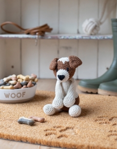 Timmy the Jack Russell Dog