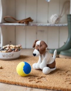 Timmy the Jack Russell Dog