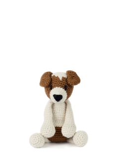 Timmy the Jack Russell Dog