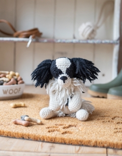 Patience the Japanese Chin
