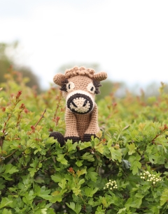 Hilda the Jersey Cow