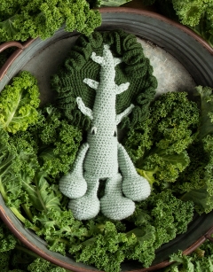 Curly Kale