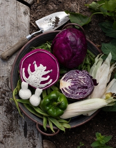 Cabbage