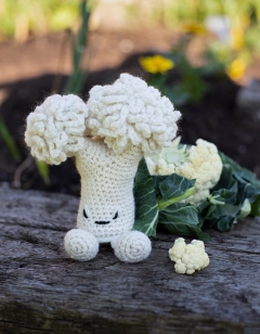 Cauliflower Floret