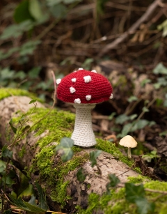 Cap Toadstool