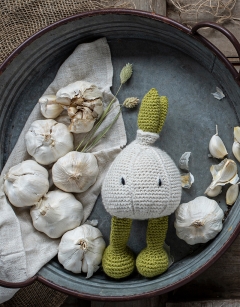 Garlic