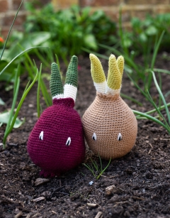 Onion