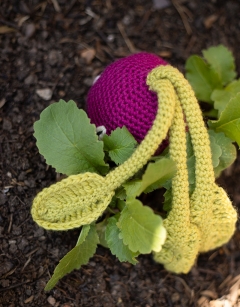 Radish