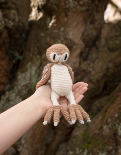 Barney the Barn Owl Kit