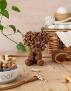 Napoleon the Labradoodle