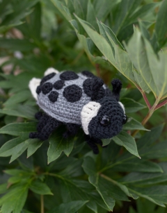 Ava the Ladybird: 15-spot