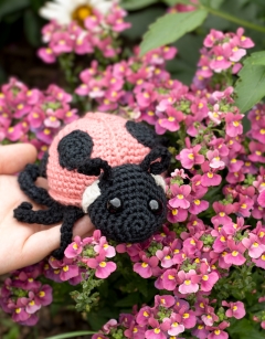 Ava the Ladybird: 2-spot