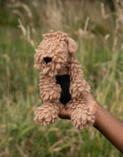 Wainwright the Lakeland Terrier