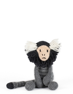 Leah the Common Marmoset