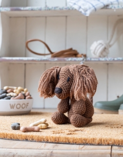 Lily the Long-Haired Dachshund