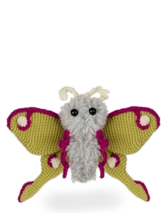Juniper the Luna Moth