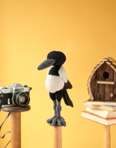 Alan the Magpie Kit