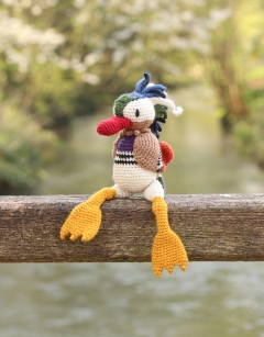Pascal the Mandarin Duck 