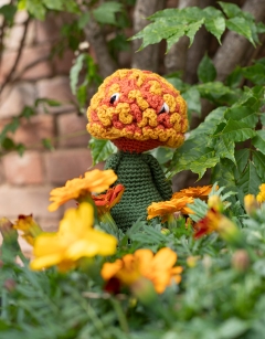 Marigold