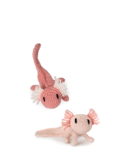 Mini Danielle the Axolotl