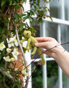 Mini Kerry the Chameleon