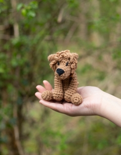 Mini Rufus the Lion