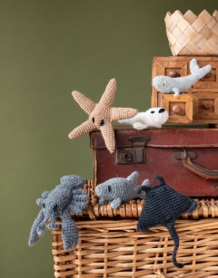 Shore Discovery Box