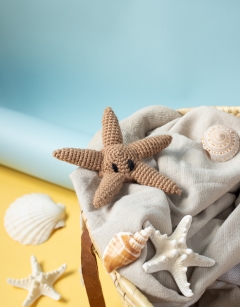 Shore Discovery Box