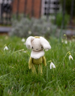 Mini Snowdrop