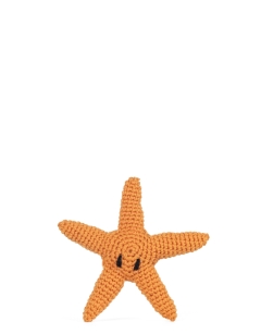 Mini Ringo the Starfish