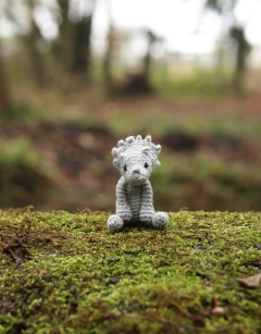 Mini Victoria the Triceratops