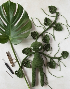 Monstera