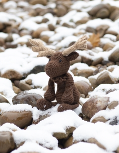 Logan the Moose
