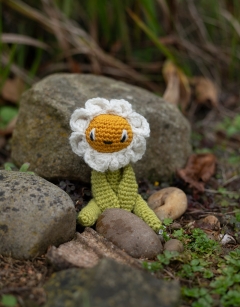 Mini Mountain Avens