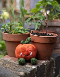 Munchkin Pumpkin Kit