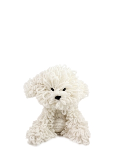 Myra the Bichon Frise