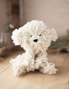 Myra the Bichon Frise