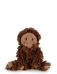 Blake the Orangutan