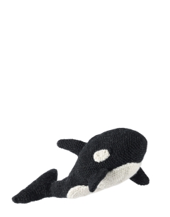 Florence the Orca
