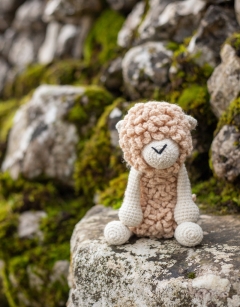 Everett the Romney Sheep Kit