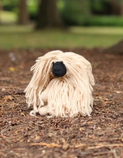 Simay the Pekingese